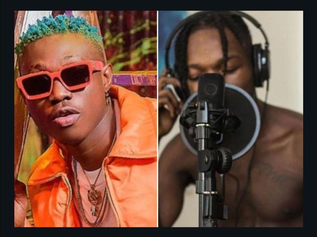 You Need A Dope Verse To Complete Your Song, Who Would You Choose Between Zlatan & Naira Marley? 19