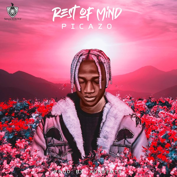 Picazo – “Rest Of Mind” 1