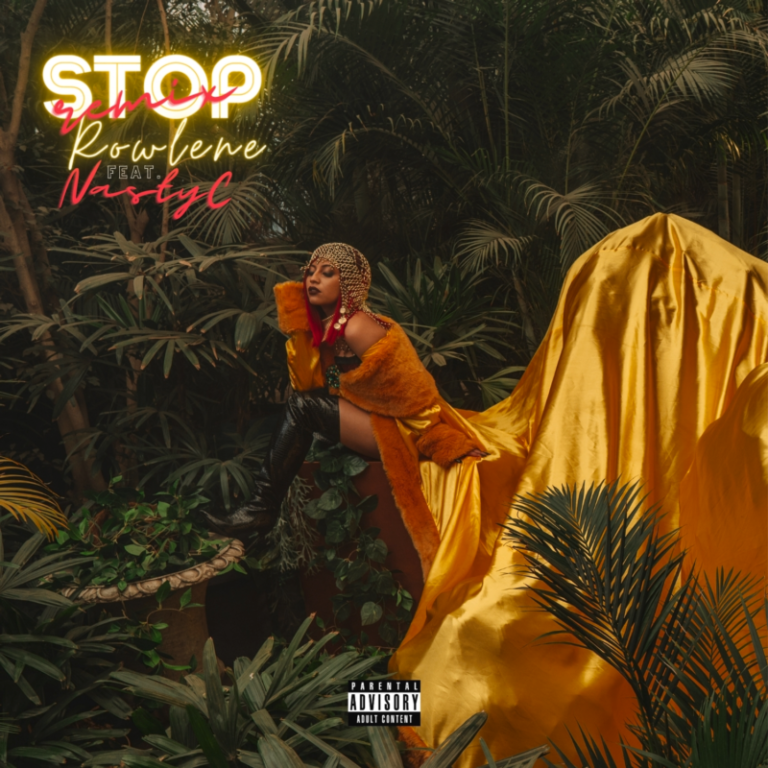 Rowlene ft. Nasty C – “Stop” (Remix) 5