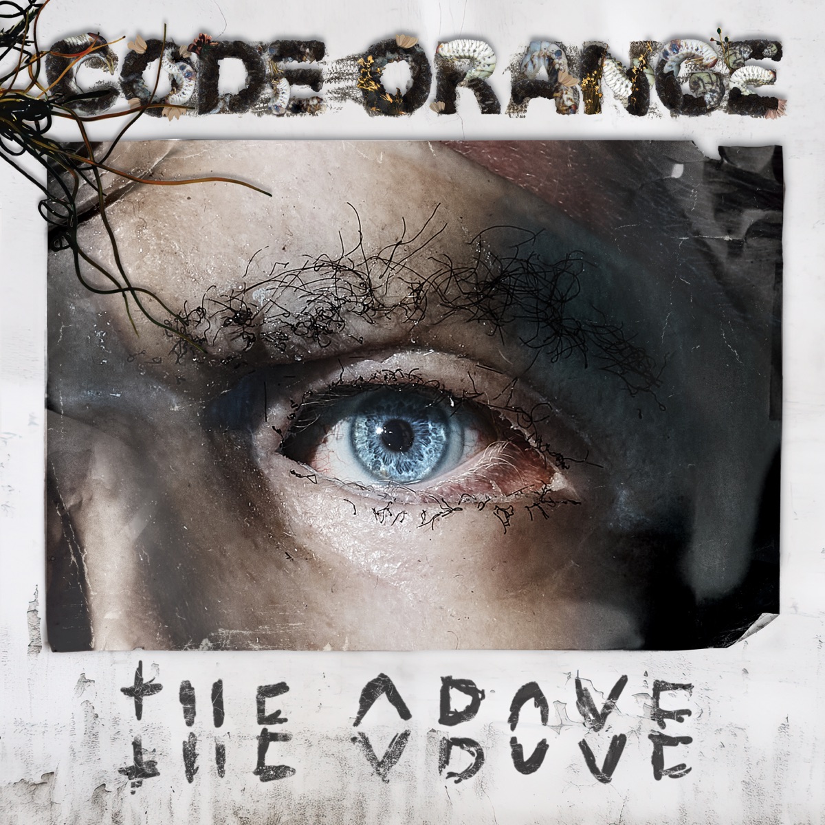 Code Orange – Take Shape Ft. Billy Corgan 2