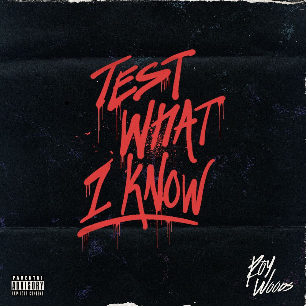 Roy Woods Test What I Know Mp3 Download