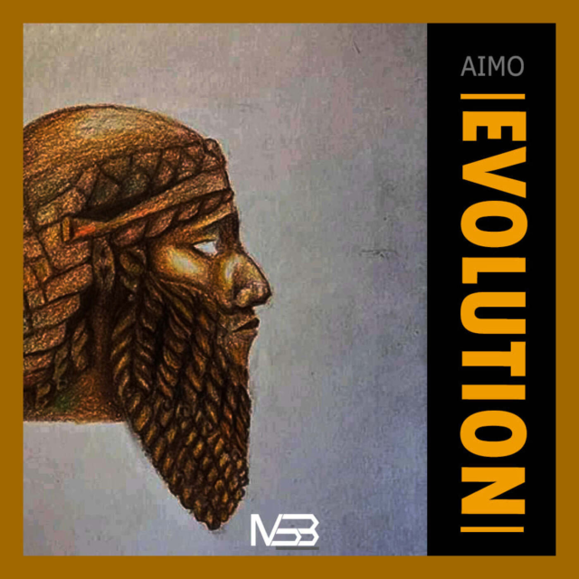 Aimo – Evolution 1