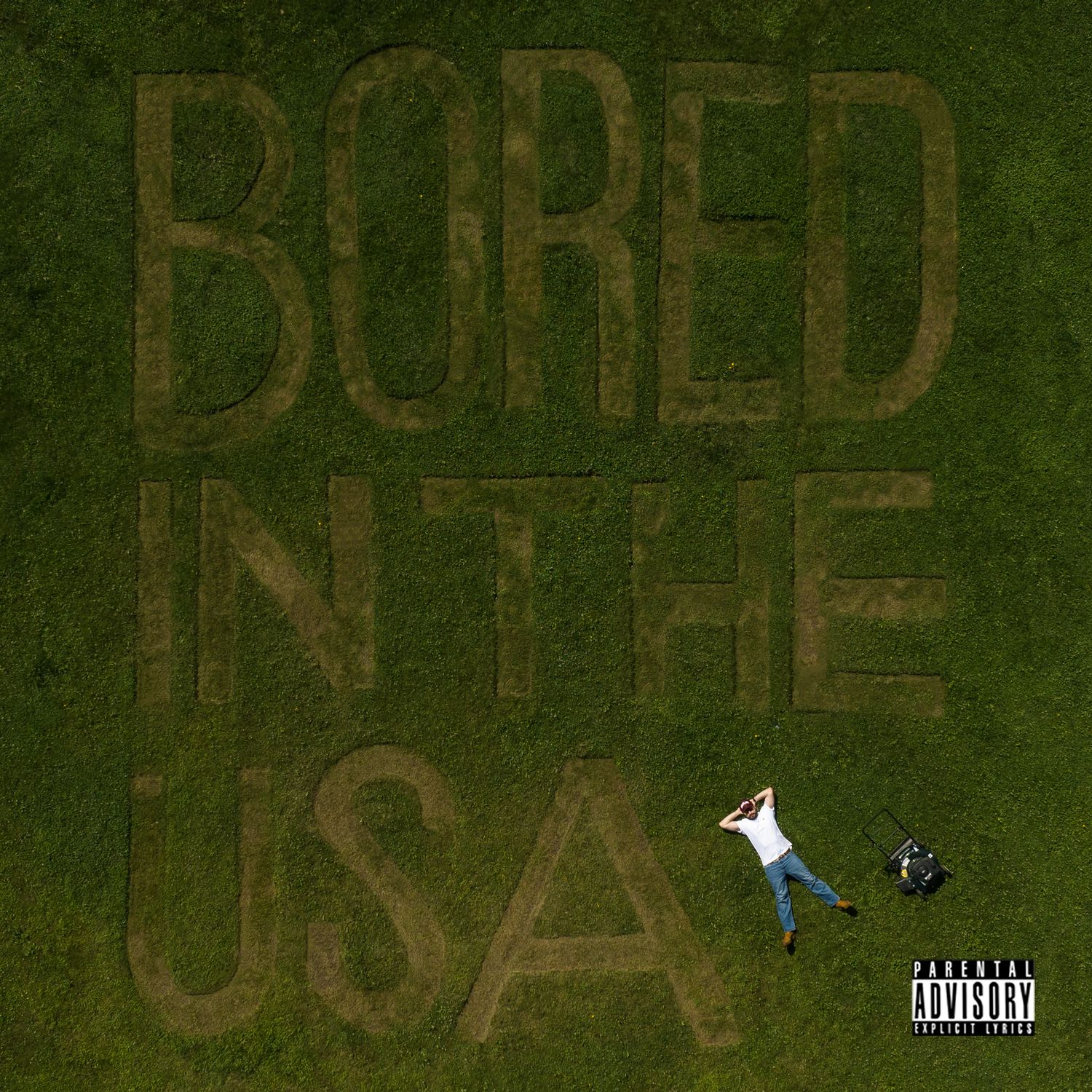 David Morris Bored In The USA Mp3 Download