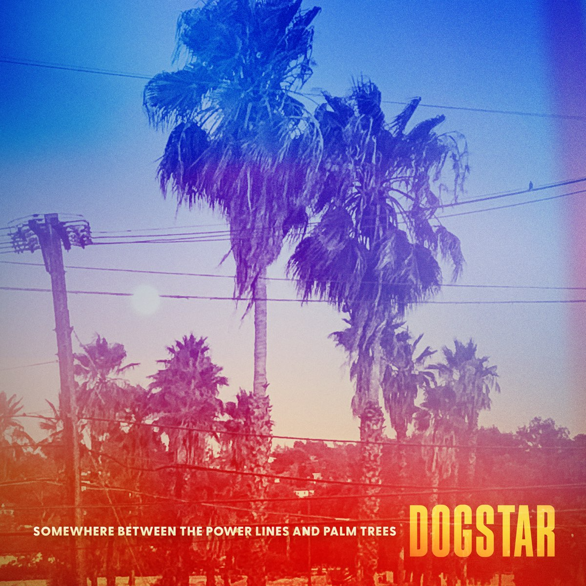 Dogstar Somewhere Between the Power Lines and Palm Trees Zip Album Download