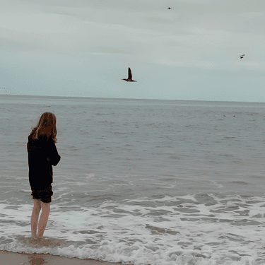 Stygian Hollow Chanonry Point Zip Download