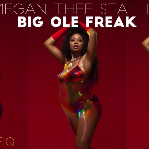 Megan Thee Stallion – Big Ole Freak 1