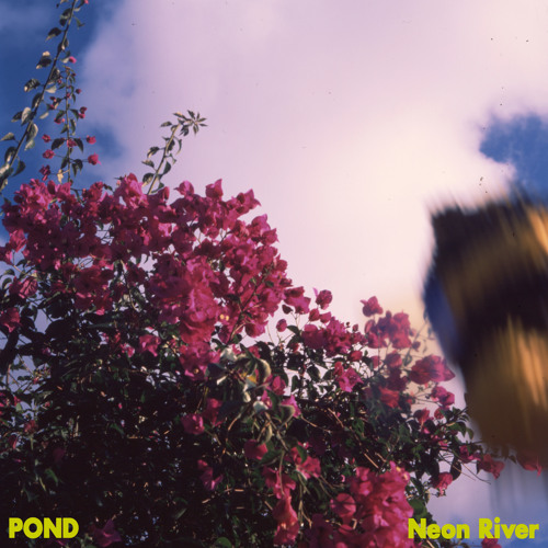 POND Neon River Mp3 Download