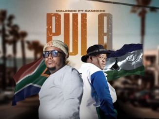 Maleboo Pula Mp3 Download