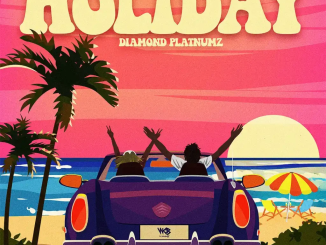 Diamond Platnumz Holiday Mp3 Download